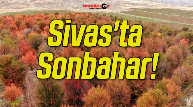 Sivas’ta Sonbahar!
