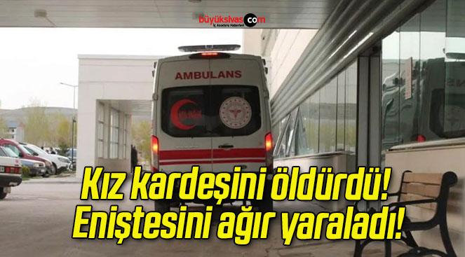 ladıs