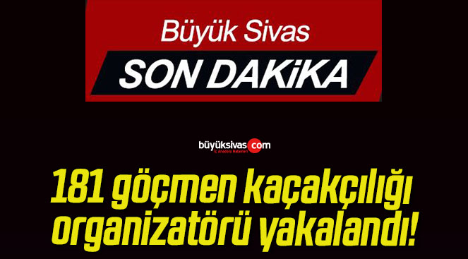 landısss