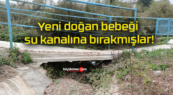 mışlar
