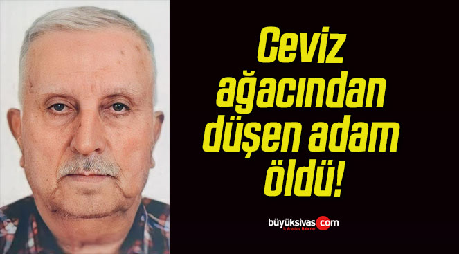 Ceviz ağacından düşen adam öldü!