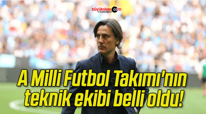 A Milli Futbol Takımı’nın teknik ekibi belli oldu!