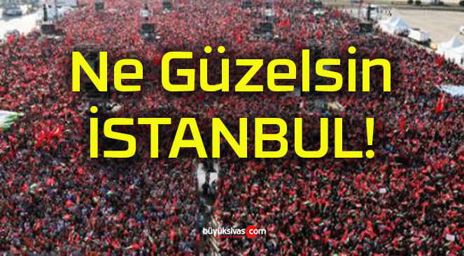 tanbuls