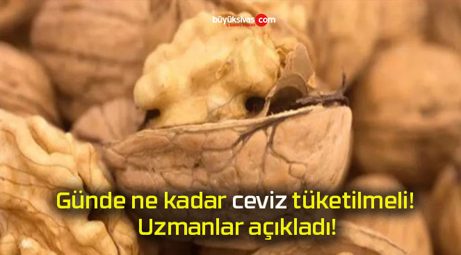 Günde ne kadar ceviz tüketilmeli! Uzmanlar açıkladı!
