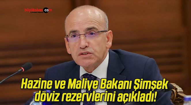 Hazine ve Maliye Bakanı Şimşek döviz rezervlerini açıkladı!