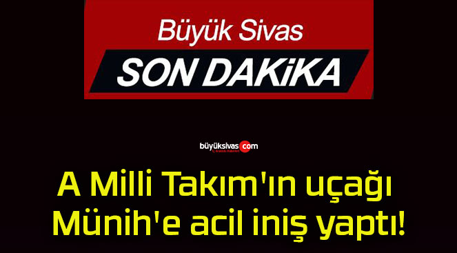 A Milli Takım’ın uçağı Münih’e acil iniş yaptı!