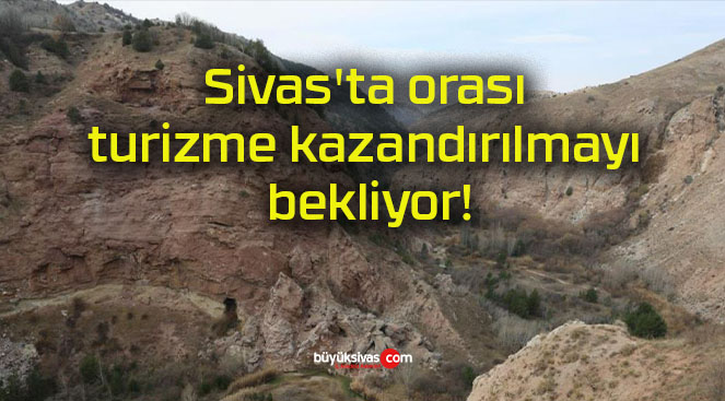 bekliyors
