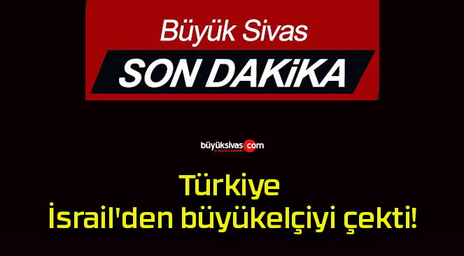 büyükelçi