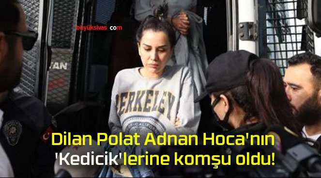 Dilan Polat Adnan Hoca’nın ‘Kedicik’lerine komşu oldu!