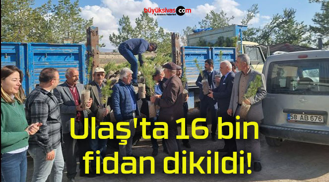 Ulaş’ta 16 bin fidan dikildi!