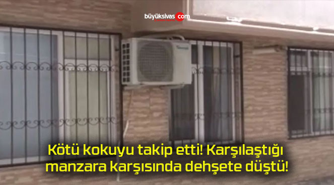 düşt