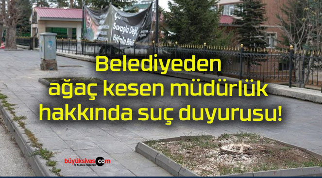 Belediyeden ağaç kesen müdürlük hakkında suç duyurusu!