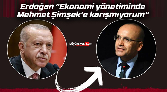Erdoğan, Hazine ve Maliye Bakanı Mehmet Şimşek’e karışmıyorum