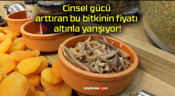 Cinsel gücü arttıran bu bitkinin fiyatı altınla yarışıyor!