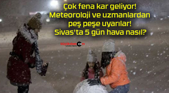 havas