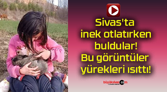 Sivas’ta inek otlatırken buldular! Bu görüntüler yürekleri ısıttı!