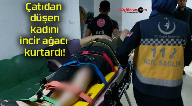 Çatıdan düşen kadını incir ağacı kurtardı!