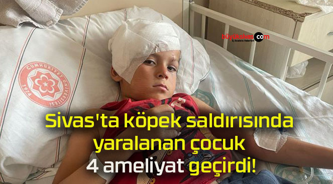 Sivas’ta köpek saldırısında yaralanan çocuk 4 ameliyat geçirdi!