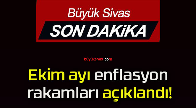 rakamlarıs