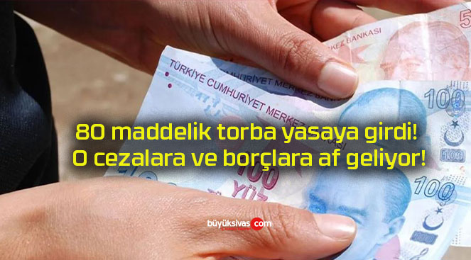 80 maddelik torba yasaya girdi! O cezalara ve borçlara af geliyor!
