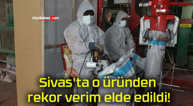 Sivas’ta o üründen rekor verim elde edildi!