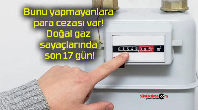 Bunu yapmayanlara para cezası var! Doğal gaz sayaçlarında son 17 gün!