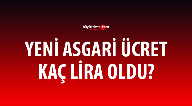 Yeni asgari ücret ne kadar oldu? İşte yeni rakam…