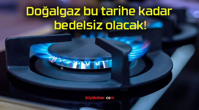 Doğalgaz bu tarihe kadar bedelsiz olacak!