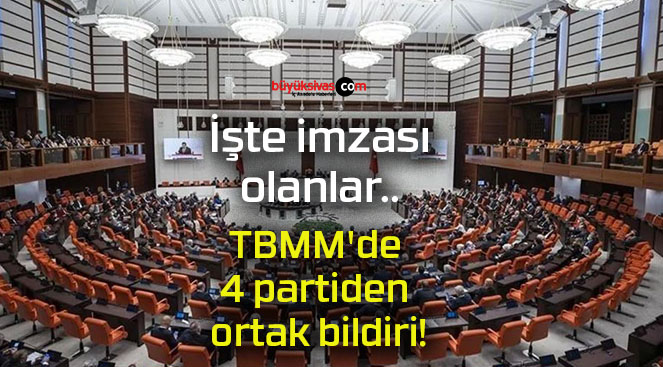 bildirsss