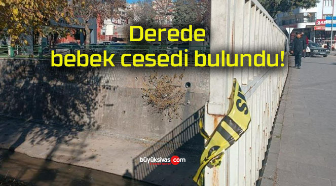 Derede bebek cesedi bulundu!