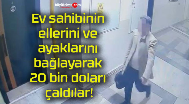 dılars