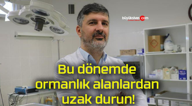 Bu dönemde ormanlık alanlardan uzak durun!