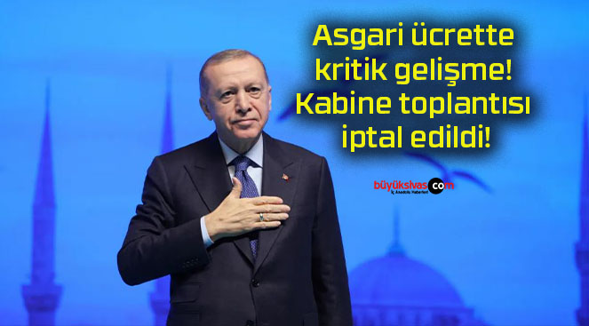 edildis