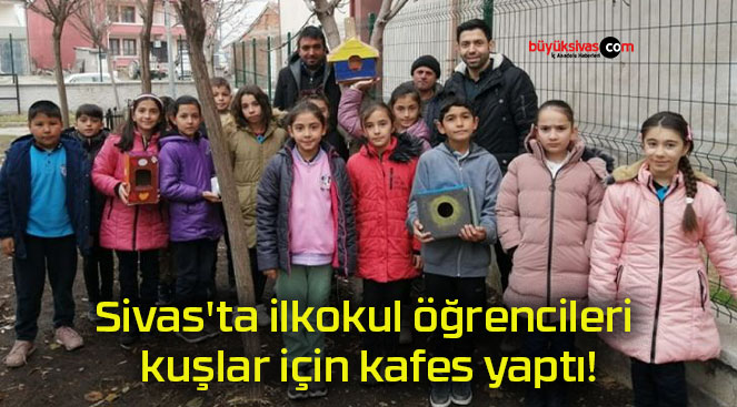 Sivas’ta ilkokul öğrencileri kuşlar için kafes yaptı!