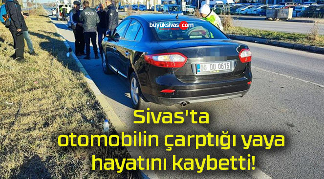 kaybettşs