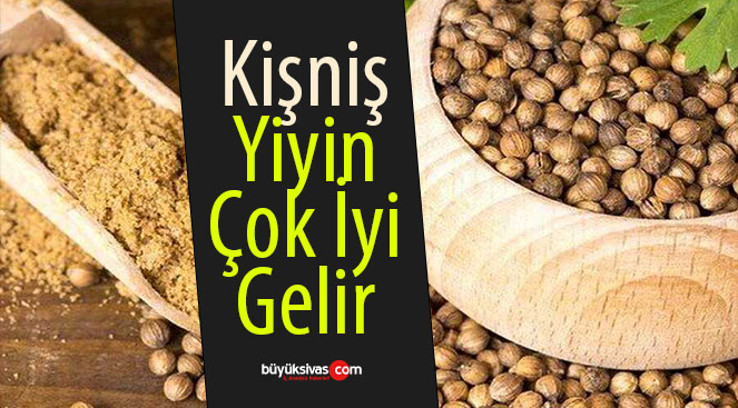 Vücuttaki İltihaplara Karşı: Kişniş!