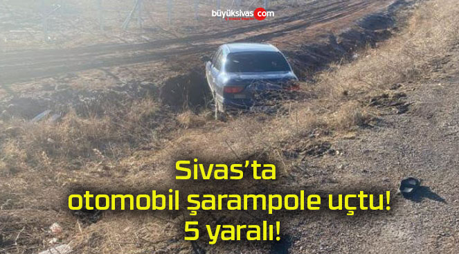 Sivas’ta otomobil şarampole uçtu! 5 yaralı!