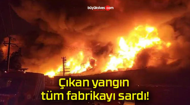 Çıkan yangın tüm fabrikayı sardı!