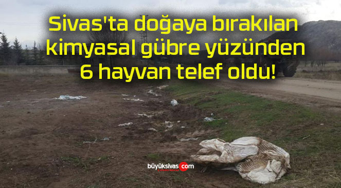 Sivas’ta doğaya bırakılan kimyasal gübre yüzünden 6 hayvan telef oldu!