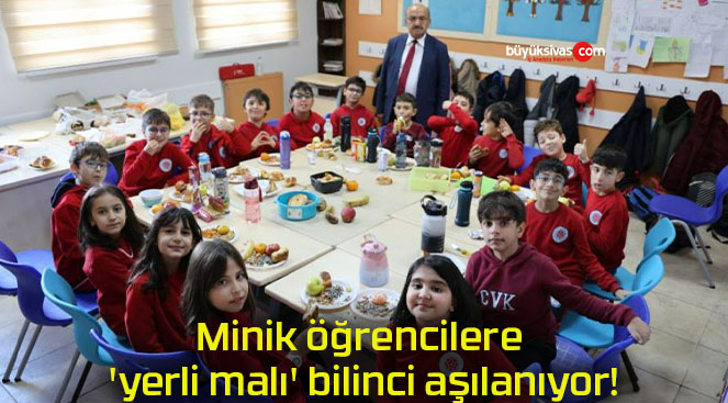 yerlis