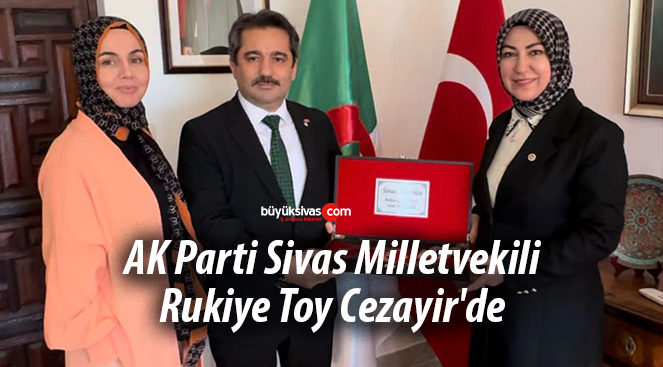 Rukiye Toy Cezayir