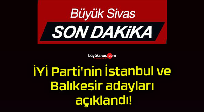İYİ Parti’nin İstanbul ve Balıkesir adayları açıklandı!