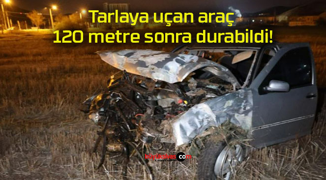 durabildis