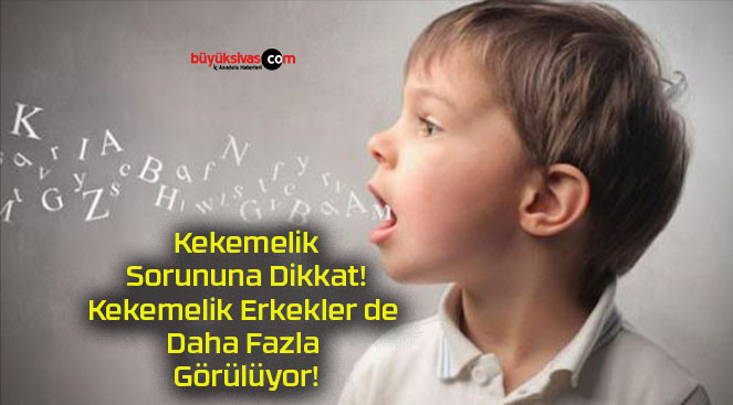 fazlas