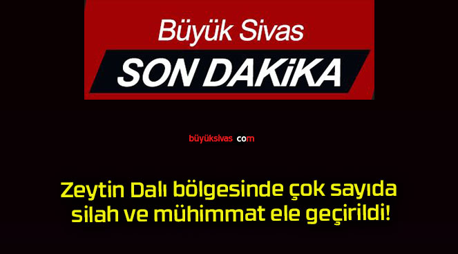 geçirildis