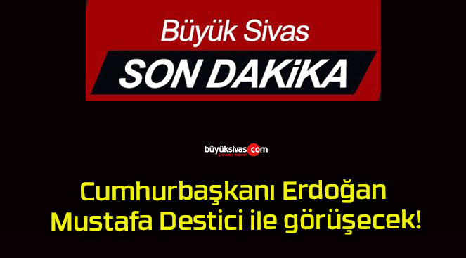 Cumhurbaşkanı Erdoğan Mustafa Destici ile görüşecek!