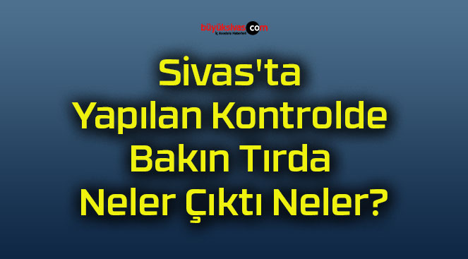 Sivas’ta Yapılan Kontrolde Bakın Tırda Neler Çıktı Neler?