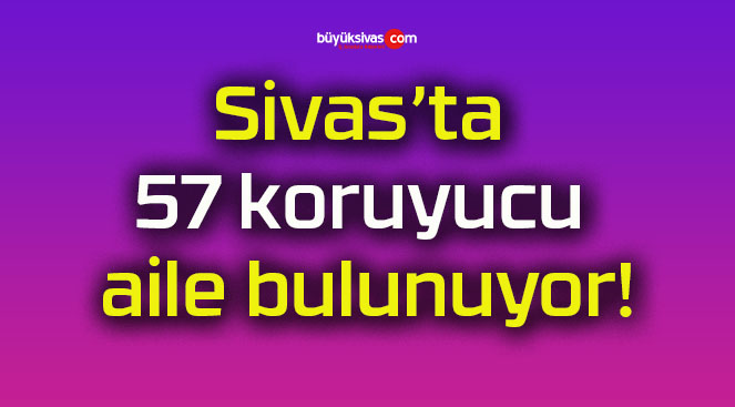 Sivas’ta 57 koruyucu aile bulunuyor!