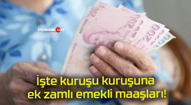 İşte kuruşu kuruşuna ek zamlı emekli maaşları!