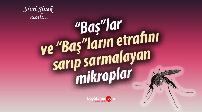 “Baş”lar ve “Baş”ların etrafını sarıp sarmalayan mikroplar